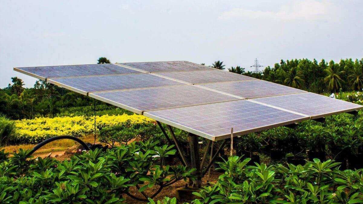 Paneles solares en la agricultura